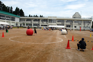 大玉転がしを行う児童・生徒の画像