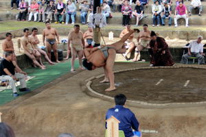 相撲大会の様子の画像