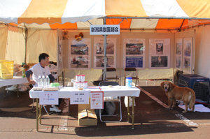 新潟県獣医師会コーナーの画像