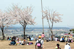 市街地を眺めながら昼食をとる参加者の画像