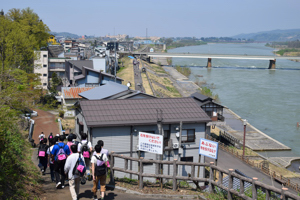 信濃川を眼下にウォーキングする参加者の画像