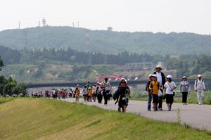 整備された信濃川右岸堤防を歩く参加者の画像