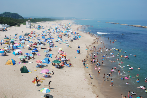 伊師浜海岸の画像