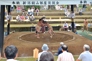 相撲大会の様子の画像