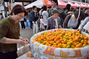 みかんつかみ取りに挑戦する来場者の画像