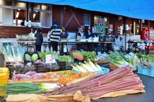 たくさんの新鮮な野菜が並んだお店の画像