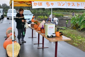 かぼちゃランタンを見る来場者の画像