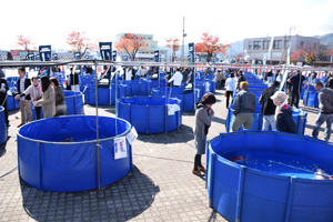 水槽がたくさん並べられた会場の画像