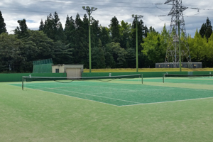 白山運動公園砂入り人工芝の画像1