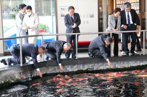 交流自治体のみなさんが錦鯉の里で餌やり体験をしている画像