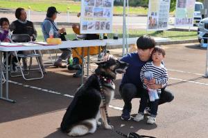 災害救助犬を男性が撫でている画像